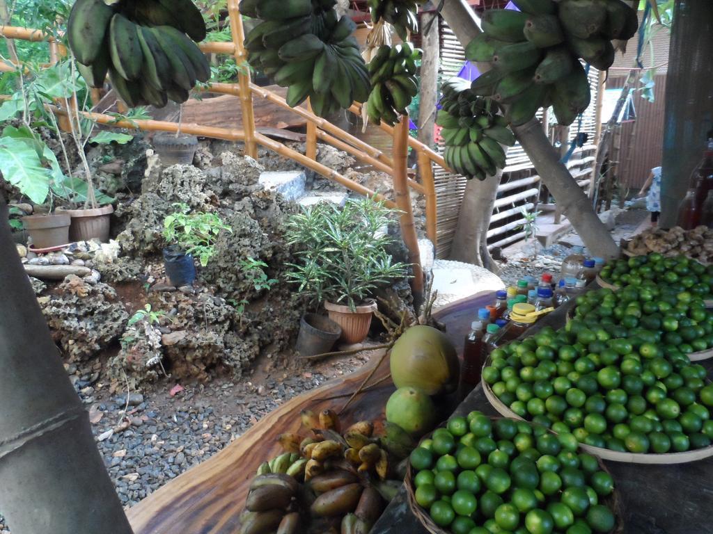 Victoria Guest House And Cottages Puerto Princesa Esterno foto