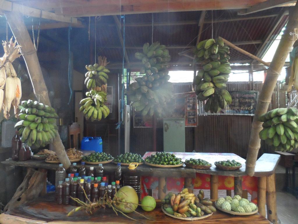 Victoria Guest House And Cottages Puerto Princesa Esterno foto