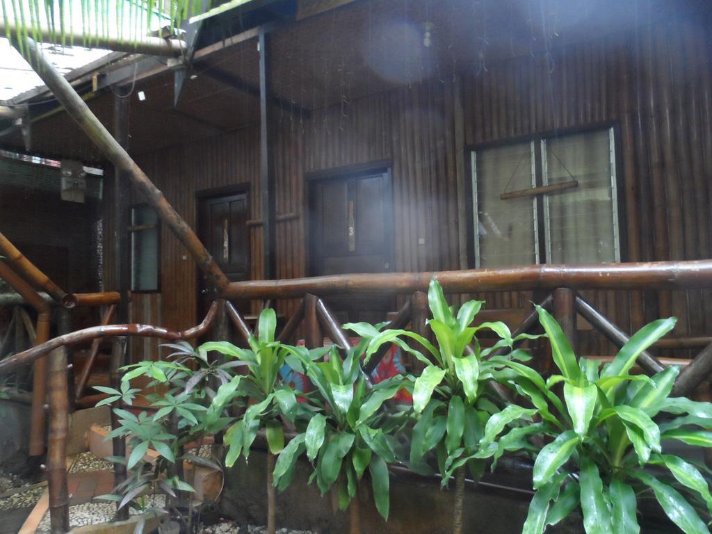 Victoria Guest House And Cottages Puerto Princesa Esterno foto