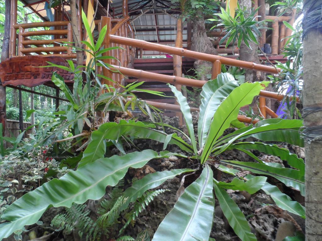 Victoria Guest House And Cottages Puerto Princesa Esterno foto