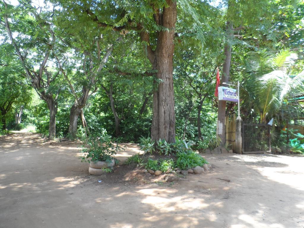 Victoria Guest House And Cottages Puerto Princesa Esterno foto