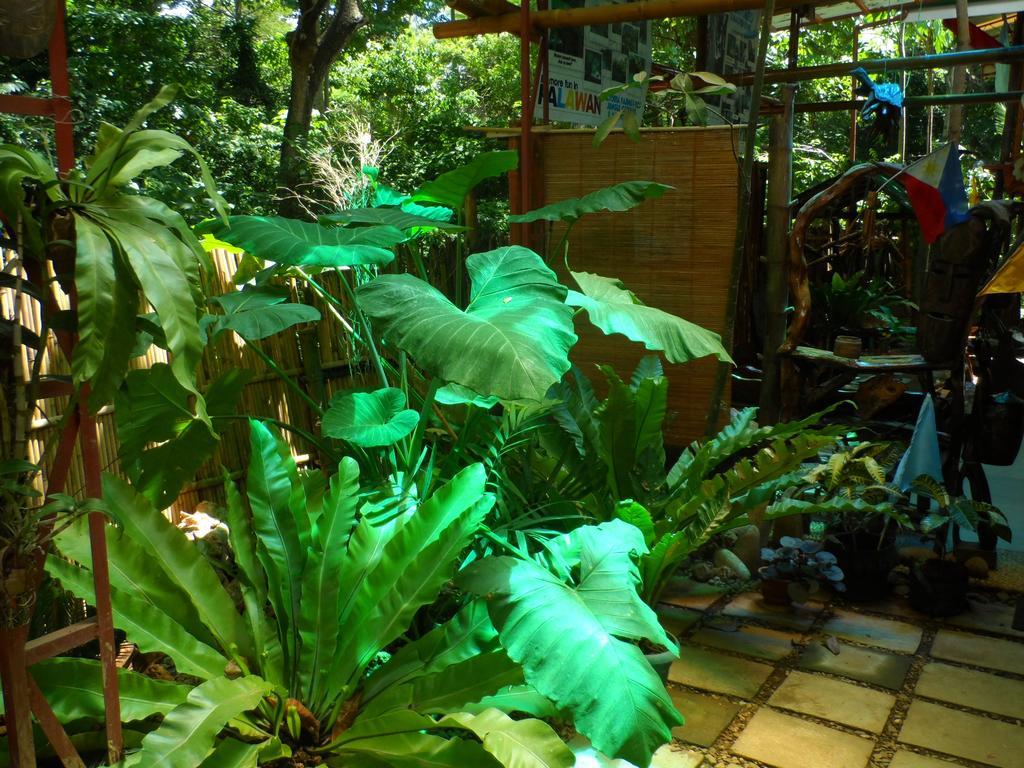 Victoria Guest House And Cottages Puerto Princesa Esterno foto