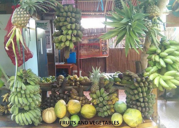 Victoria Guest House And Cottages Puerto Princesa Esterno foto